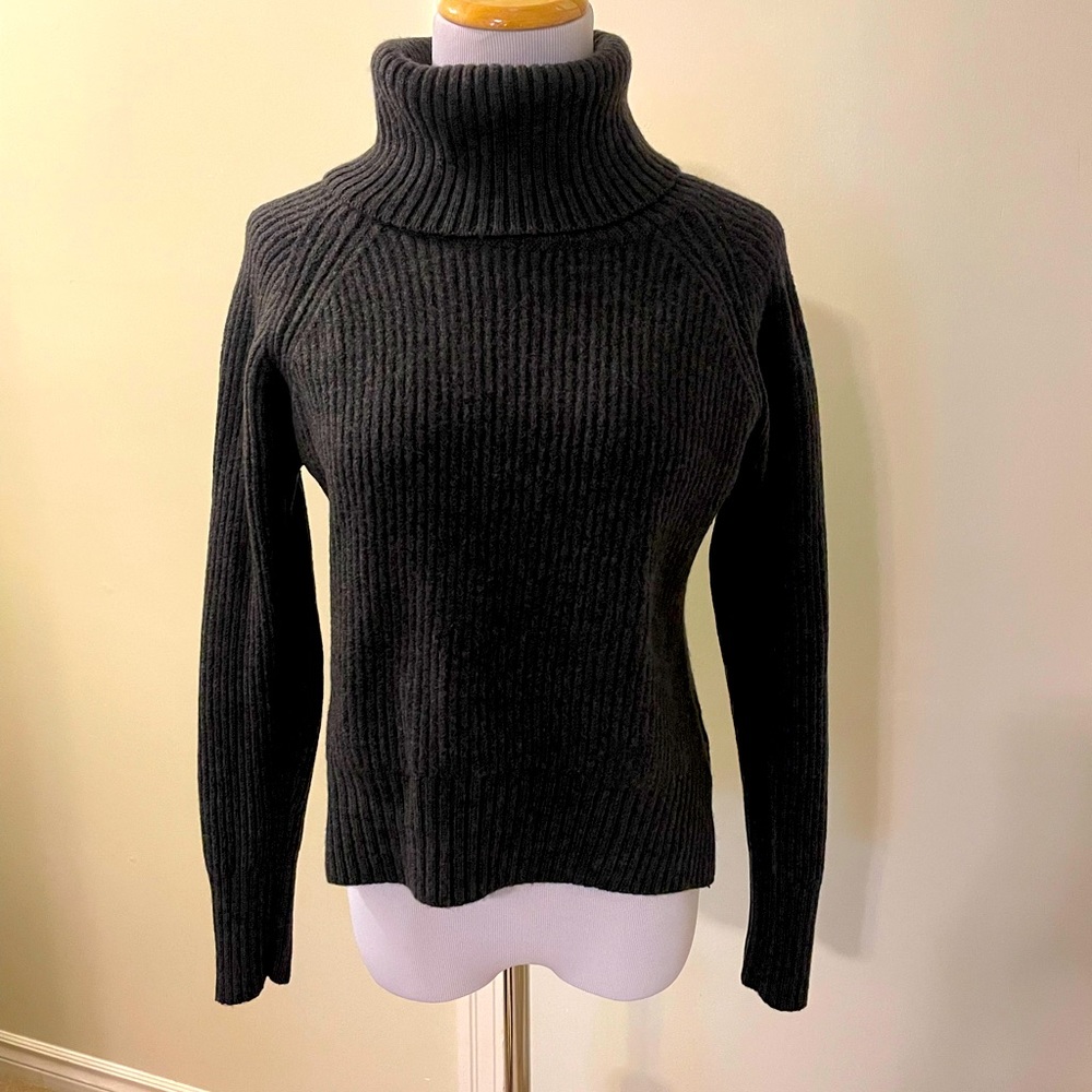 Wilfred free 💯 % Wool turtleneck sweater